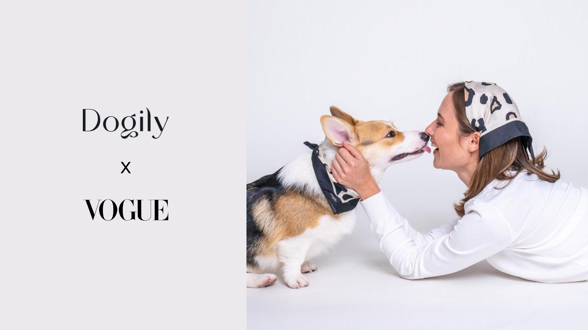 Dogily turns your daily dog walk into a fashion show | Vogue