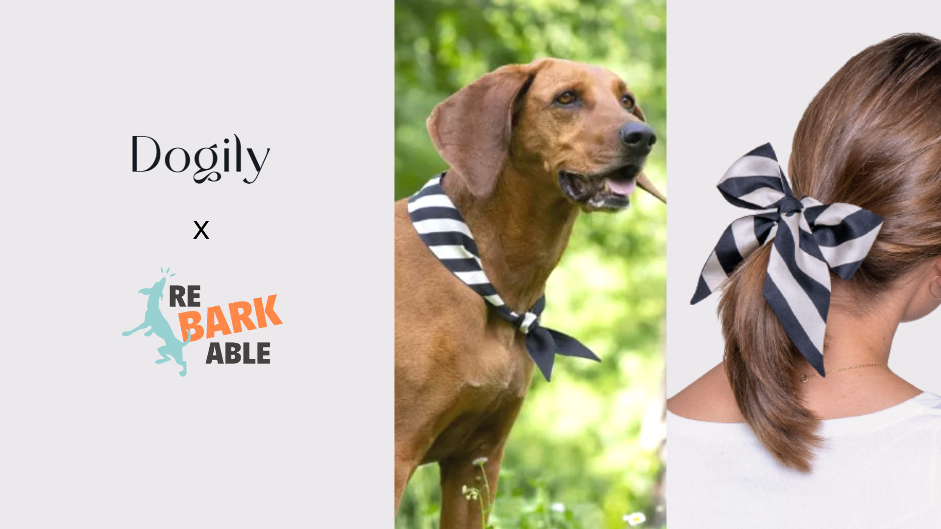 Twinning with your dog – 15 Of The Cutest Ideas With Your Dogily Accessories | Rebarkable
