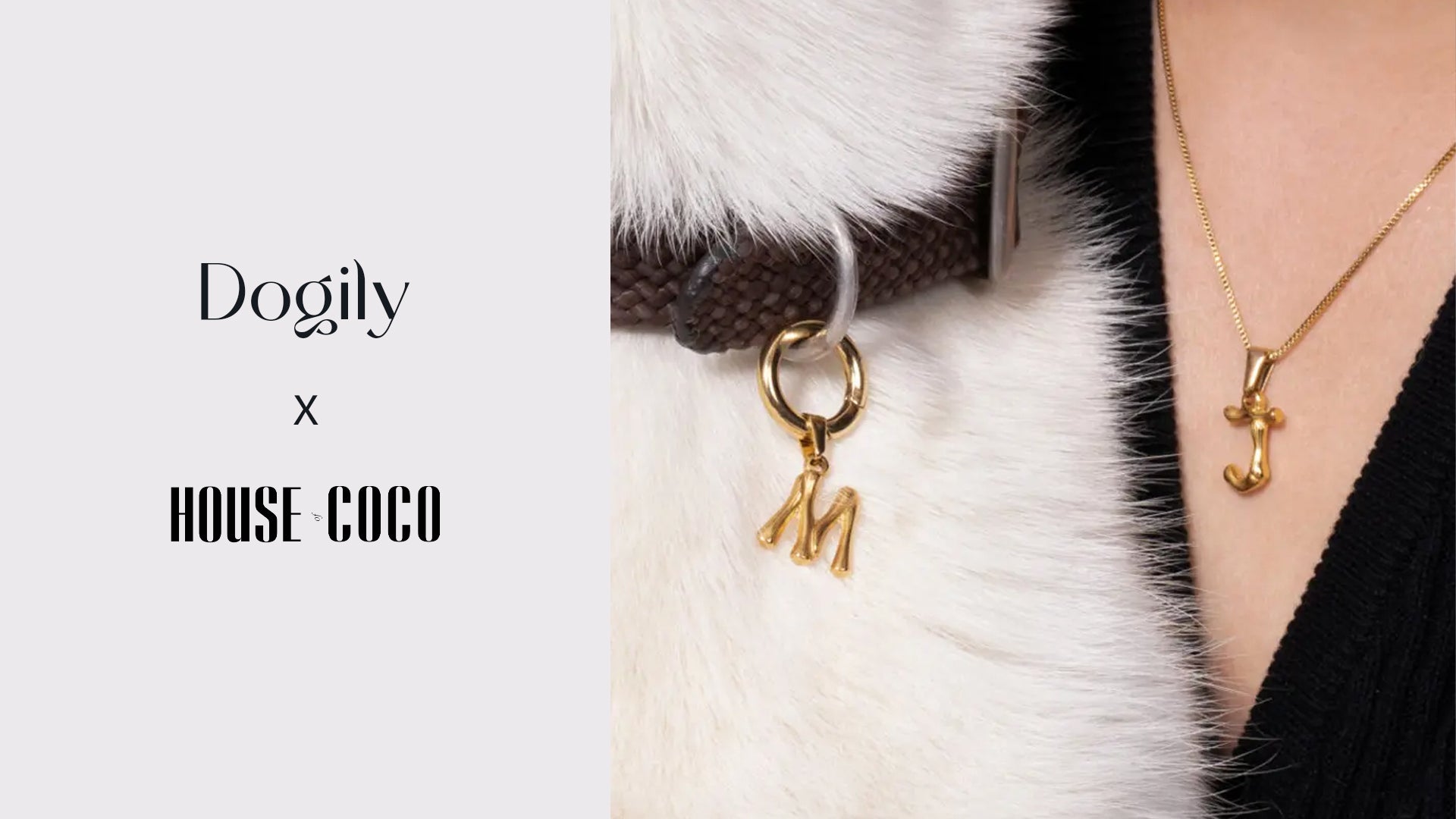 An Interview With Dogily : The Fashionable Brand For You And Your Four Legged Bestie | House of Coco