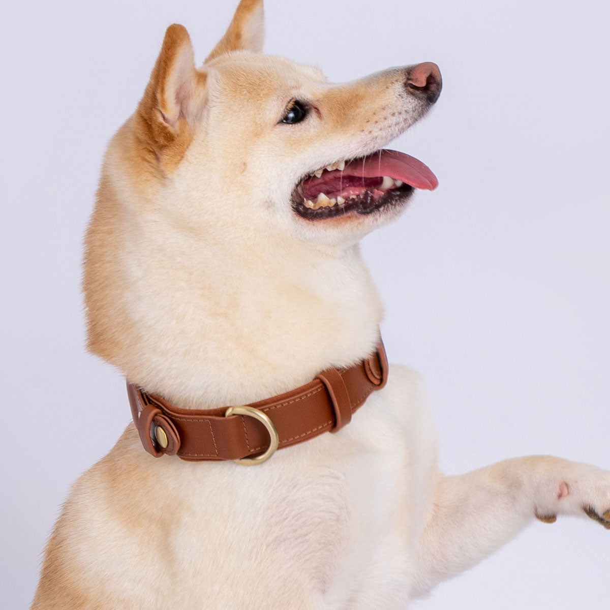AirTag Leather Dog Collar
