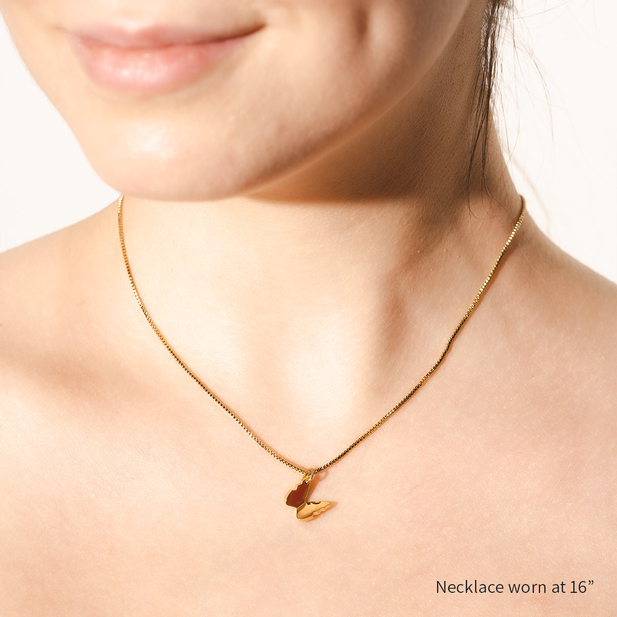 Lillia Butterfly Shape Best Friend Set | 14K Gold Necklace & Pet Tag | Pet Accessories - Dogily