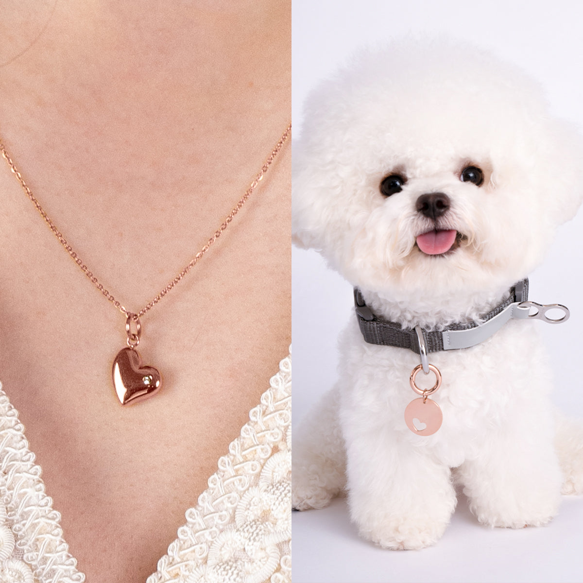 Elin Heart Shape Best Friend Set | 14K Rose Gold Necklace & Pet Tag | Pet Accessories - Dogily